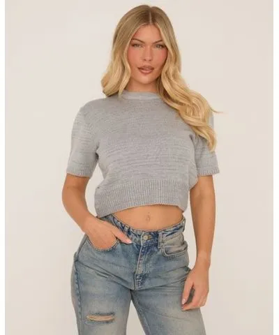 EGO Short Sleeve Crop Top In Grey Knit