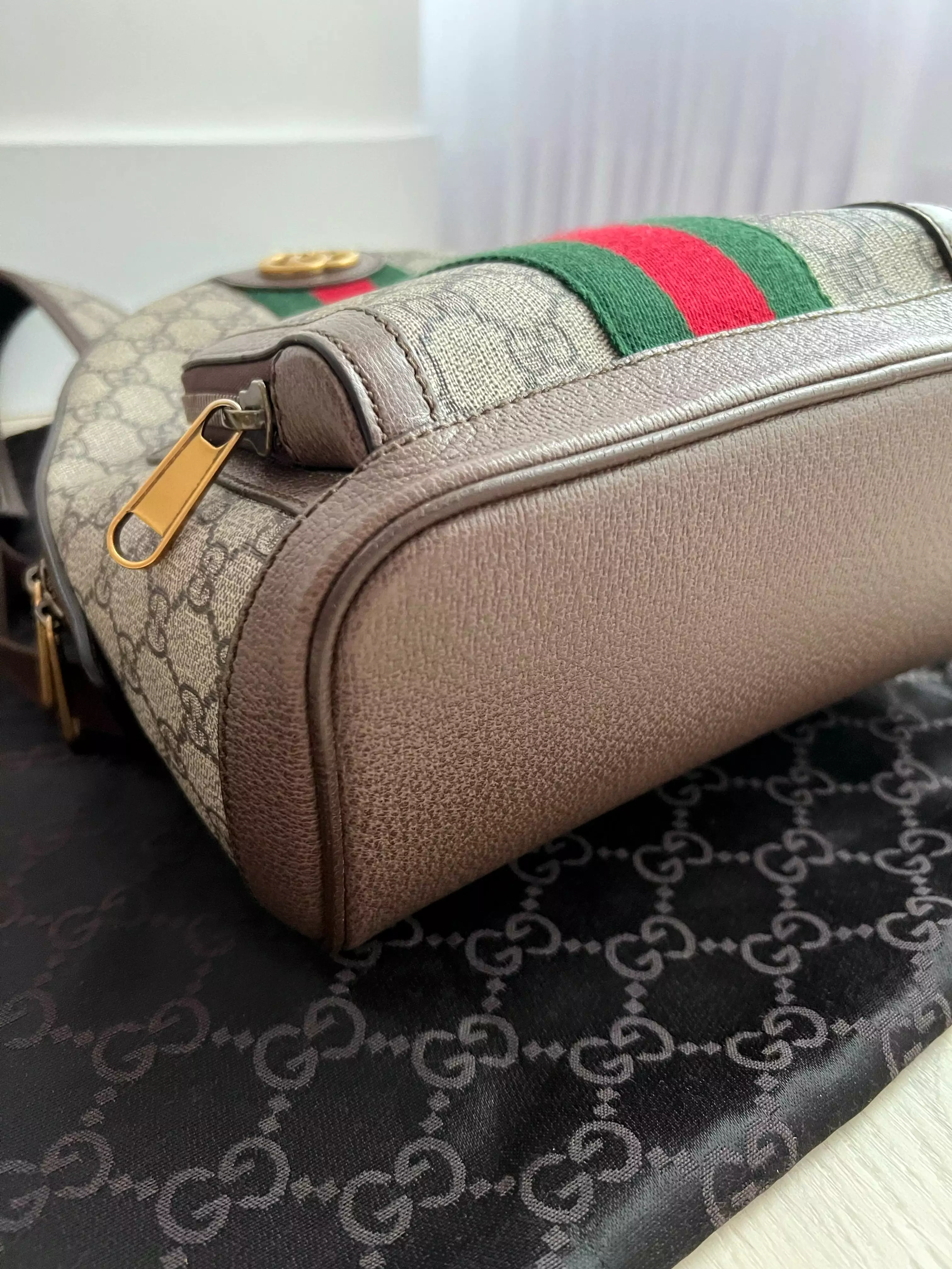 Gucci Ophidia Backpack