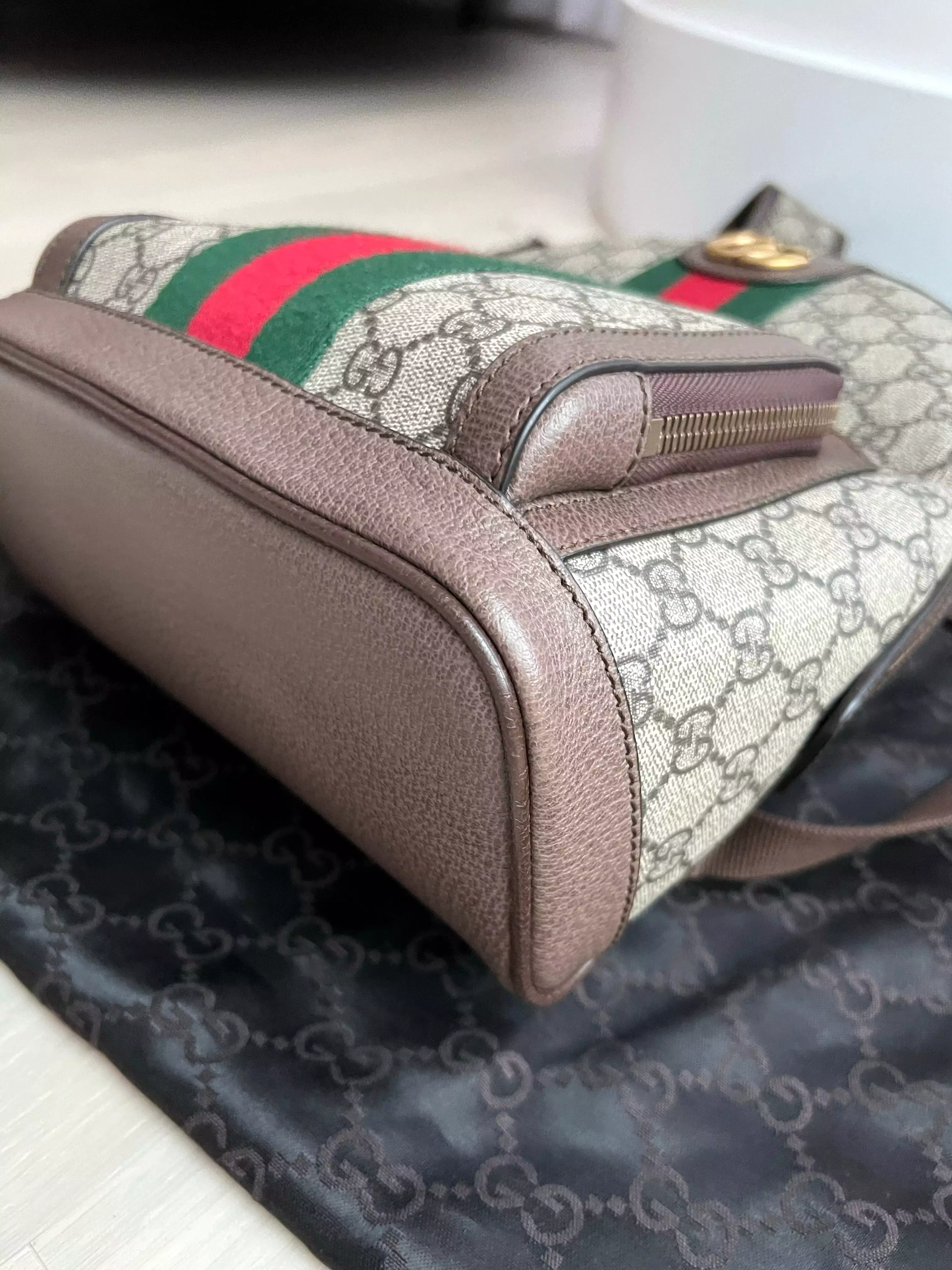 Gucci Ophidia Backpack